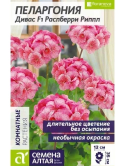 Семена пеларгонии комнатной 3 шт. Герань селекции Флоранова