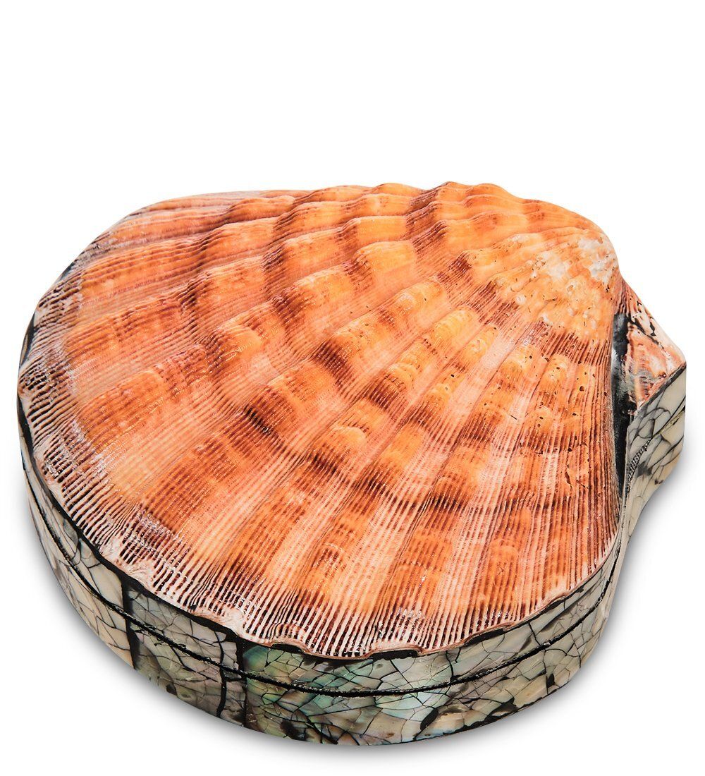 Decor and Gift 54-043 Декоративная шкатулка «Ракушка»