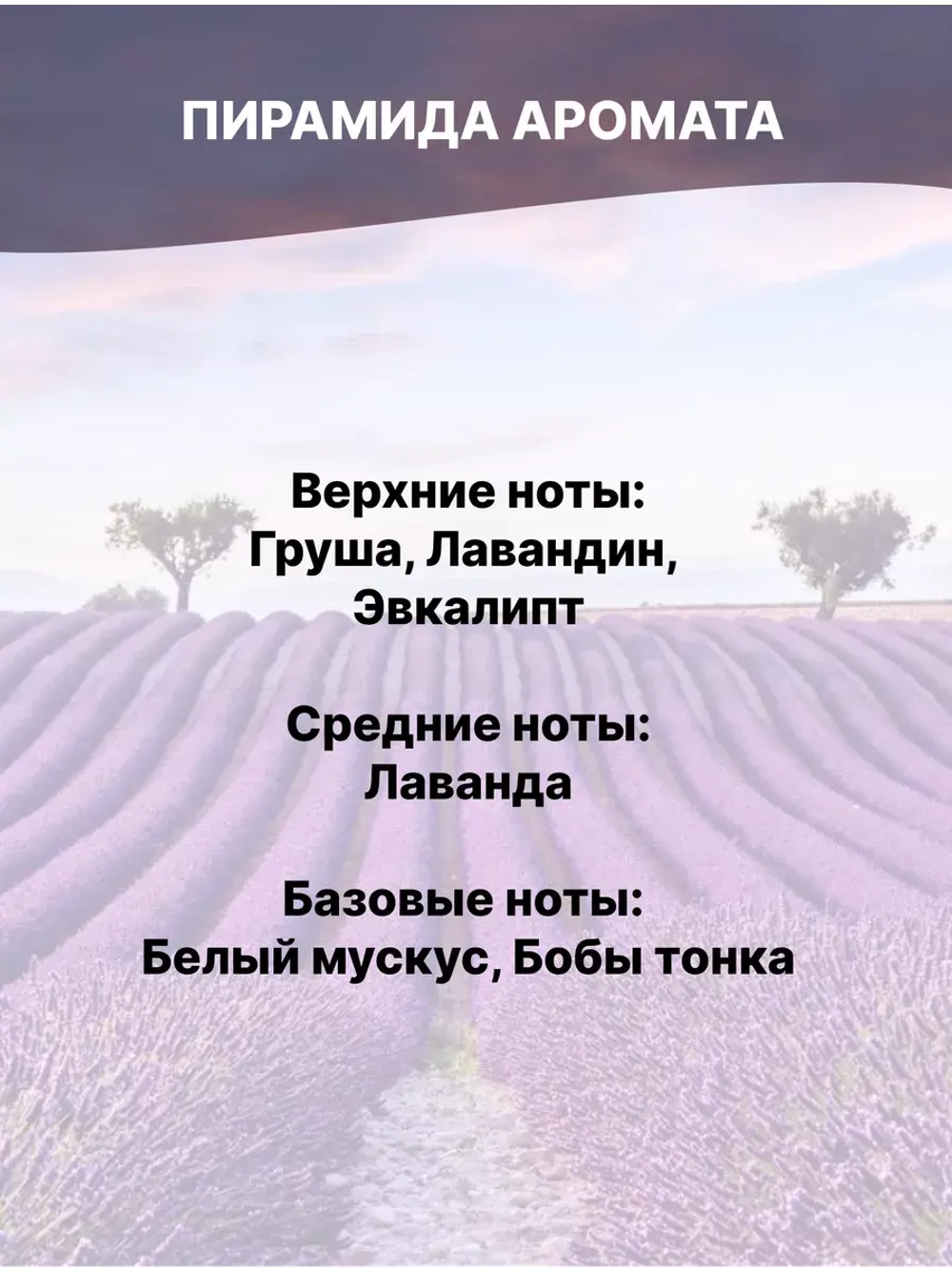 Отдушка Лавандовое поле 100 гр
