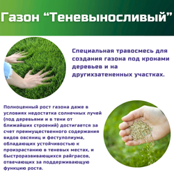Семена газонной травы, травосмесь Теневыносливый газон, 1 кг/овсяница красная, овсяница тростниковая, фестулолиум, райграс однолетний, овсяница луговая, райграс пастбищный/Газон Сити