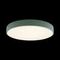Потолочный светодиодный светильник Loft IT Axel 10002/24 green