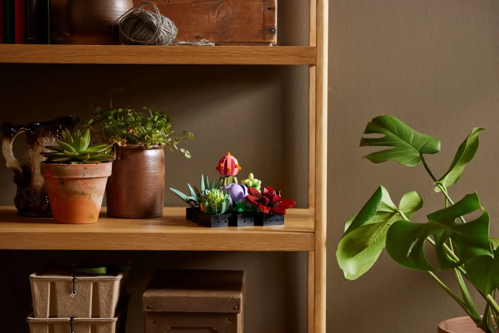 Конструктор LEGO Botanical Collection 10309 Суккуленты