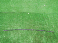 DSCN6854.JPG