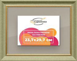 Рамка 23,7x29,7 для постера и фотографий