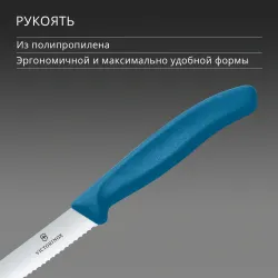 Нож кухонный Victorinox Swiss Classic столовый 110 мм серрейторный (6.7832.C1) 2