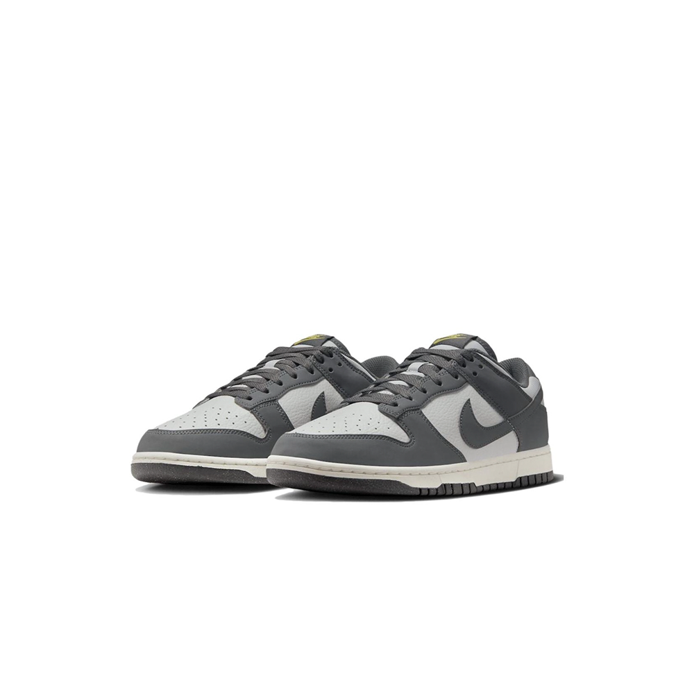 Nike Dunk Low Next Nature "Iron Grey"