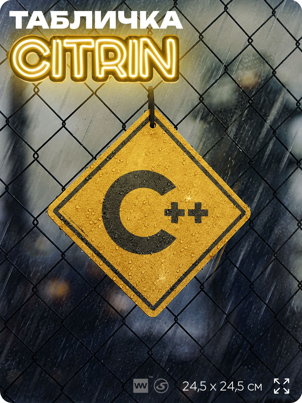Табличка декоративная "C++" на дверь и стену, для программиста, информационная, декоративный знак, 24,5х24,5 см, пластиковая, Айдентика Технолоджи