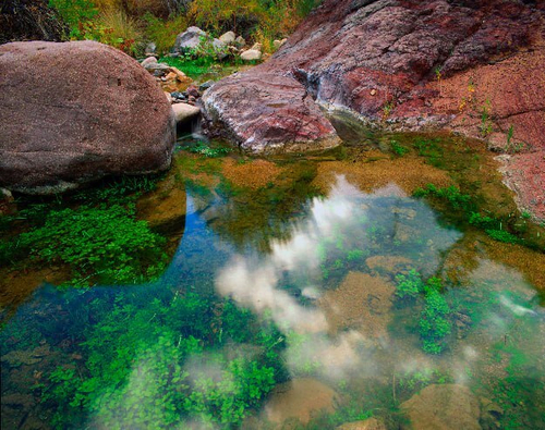 Природа 2 №16 Фотообои и Фрески ручной работы