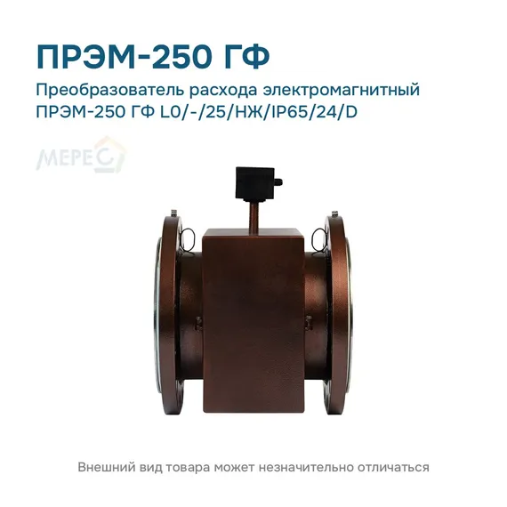 Преобразователь расхода электромагнитный ПРЭМ-250 ГФ L0/-/25/НЖ/IP65/24/D