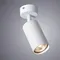Спот Aquarius A3216PL-1WH Arte Lamp
