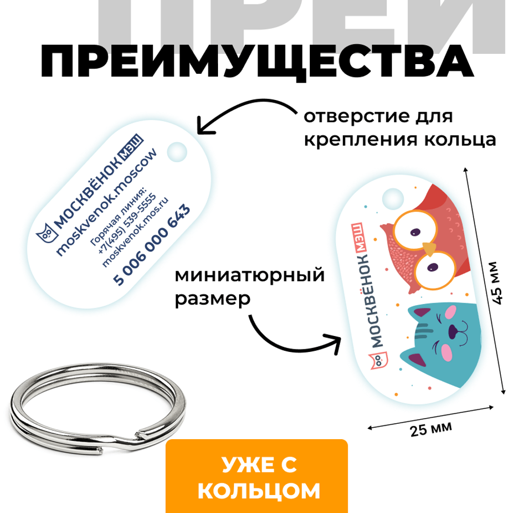 Брелок Москвёнок MINI (проход + питание)