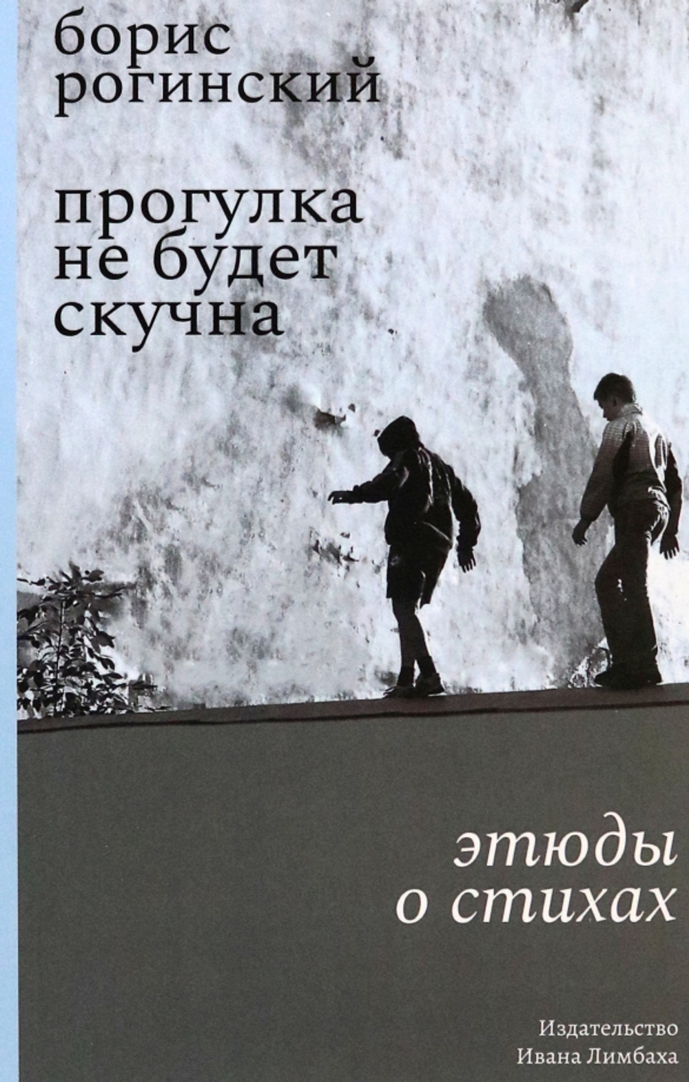 Рогинский Б. Прогулка не будет скучна: Этюды о стихах