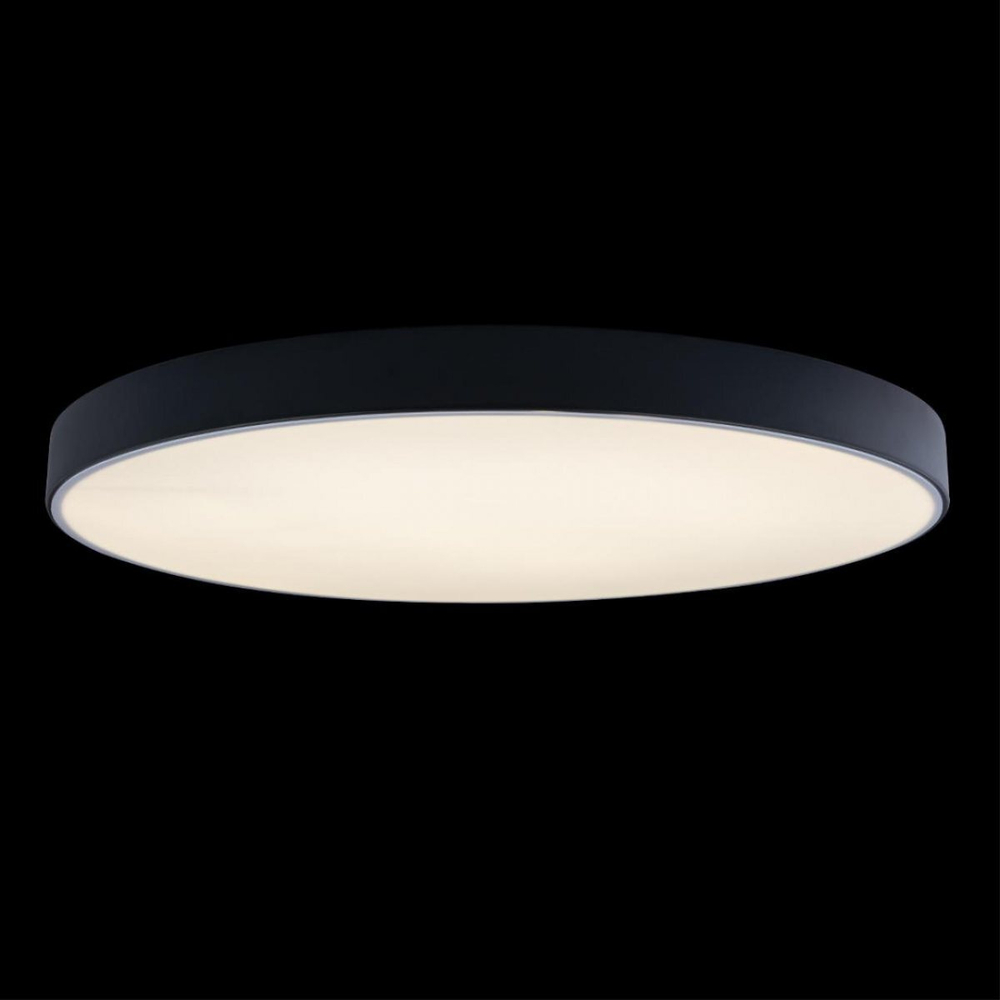 Потолочный светодиодный светильник Loft It Axel 10002/48 Black