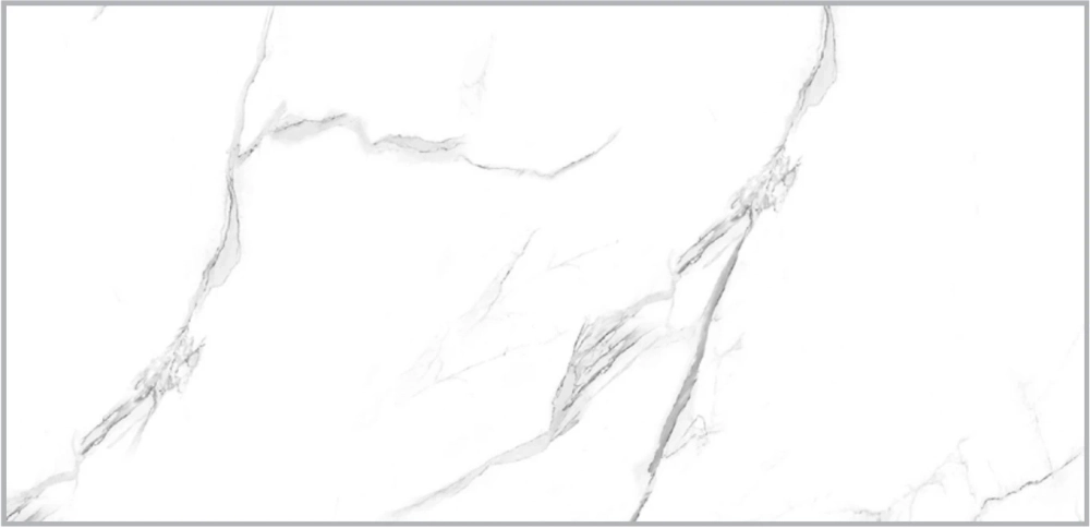 Керамическая Плитка Облицовочная PRIMAVERA/ТШ Дамон белый (ТР3628А) 300х600х8,5