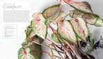 The Container Garden Recipe Book