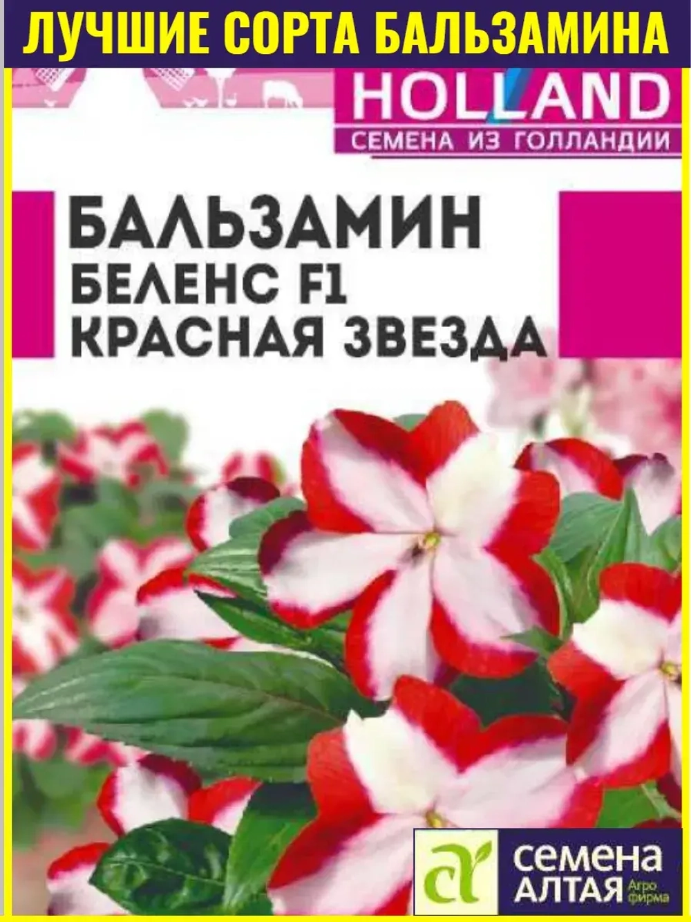 Семена Бальзамин Беленс Красная звезда