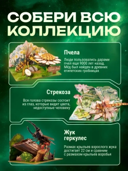 Стрекоза