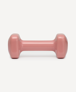 Гантель виниловая STARFIT DB-106 2 кг, терракотовый