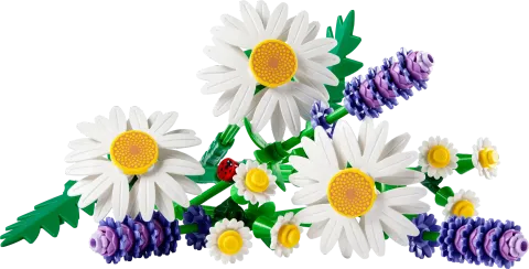 Конструктор LEGO Botanical Collection 11508 Daisies