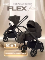 Коляска 2 в 1 Rant Flex Forma