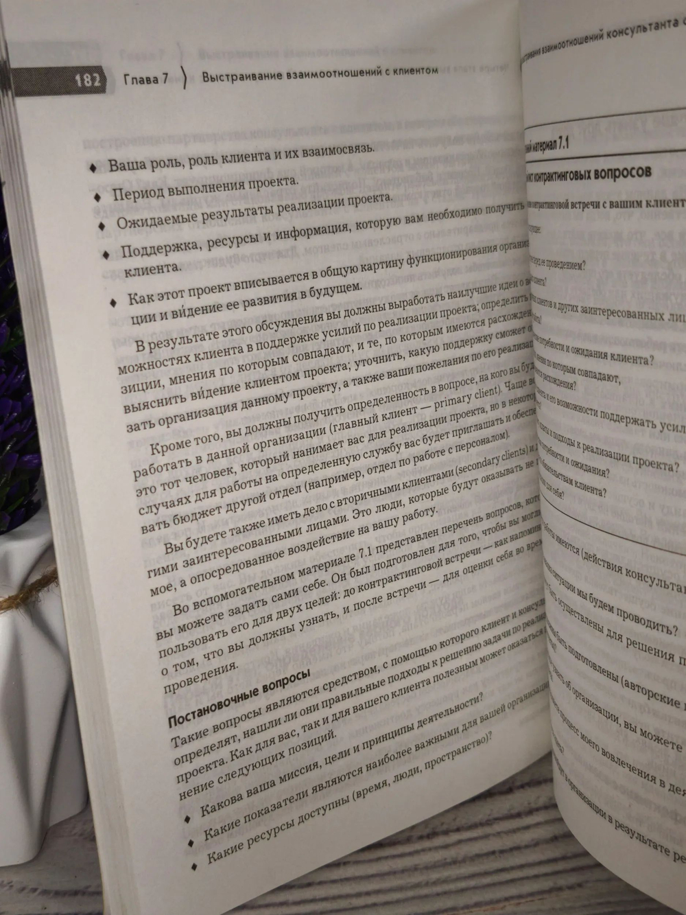 Консалтинговый бизнес. Основы профессионализма