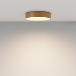 Потолочный светодиодный светильник Maytoni Zon C032CL-36W4K-RD-MG