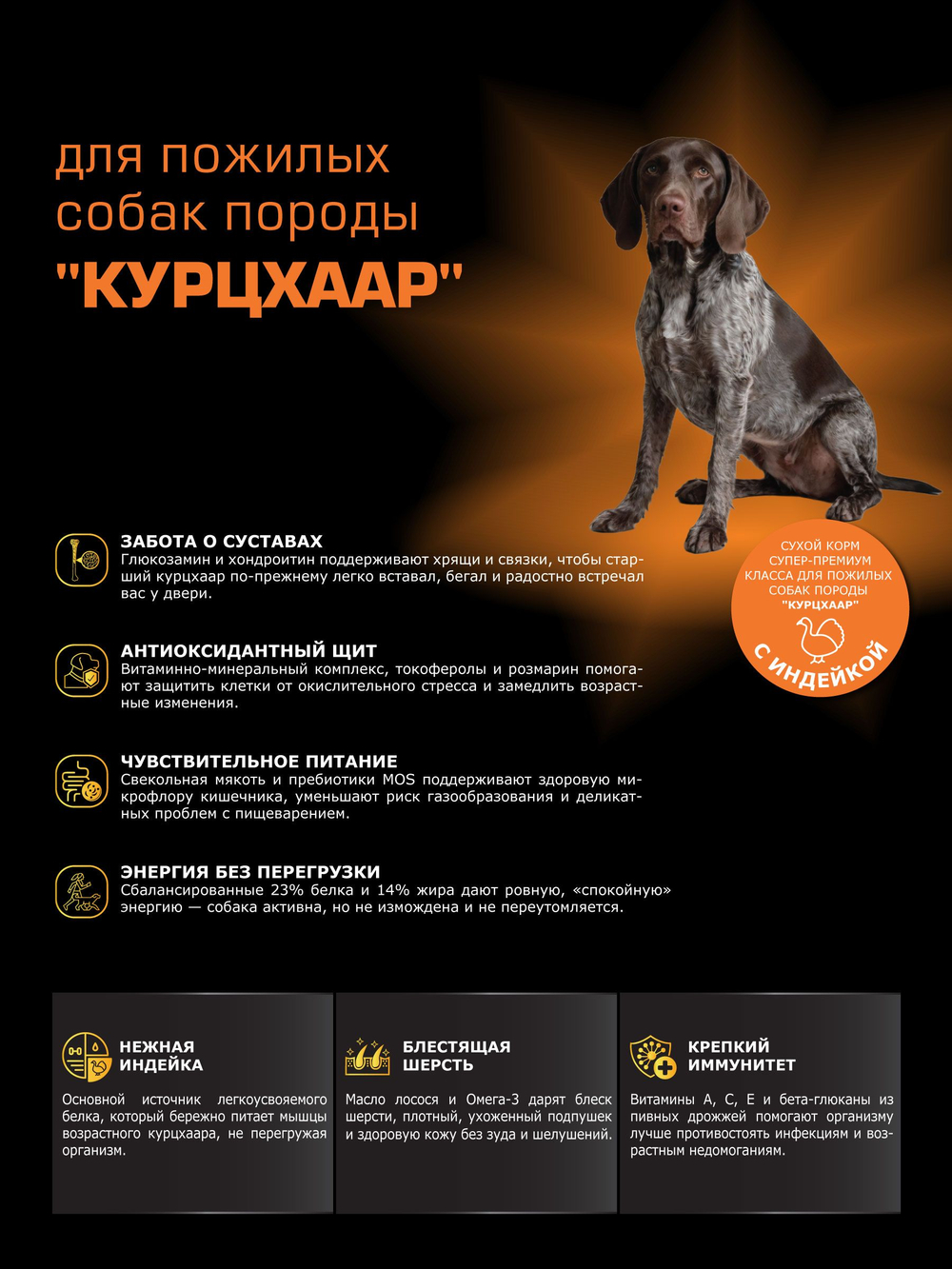 Корм сухой для пожилых собак породы Курцхаар старше 5 лет, с индейкой, 3 кг, QUATTRO
