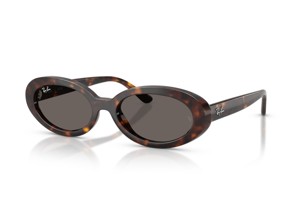 Ray Ban 2223
