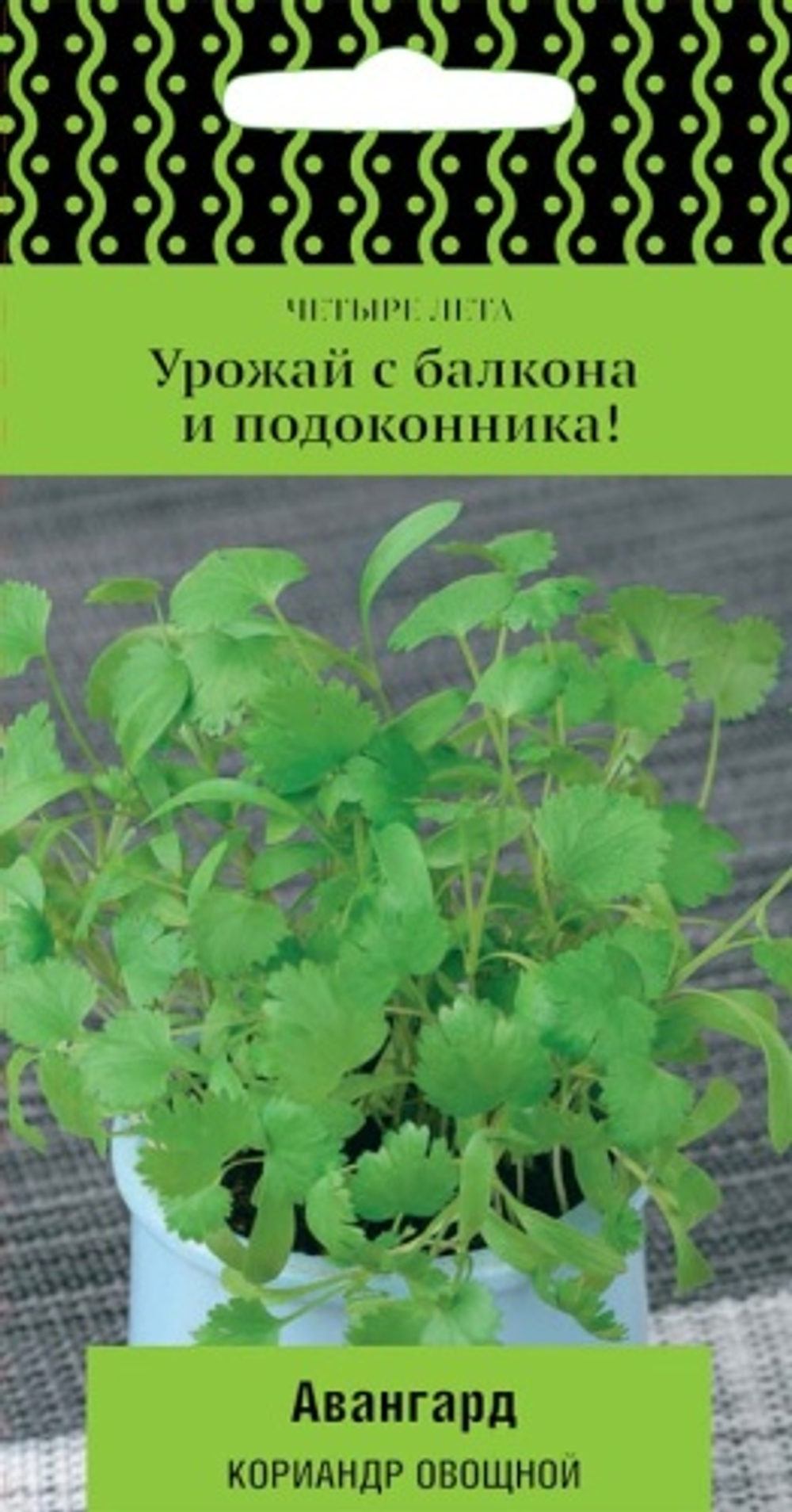 Кориандр Авангард 1г (Четыре лета) Ц Поиск