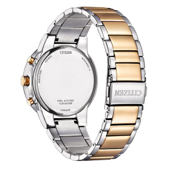Наручные часы Citizen AT2244-84X