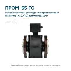 Преобразователь расхода электромагнитный ПРЭМ-65 ГС L0/R/16/НЖ/IP65/12/D