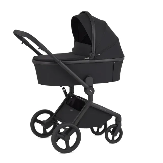 Коляска ANEX Flo 2 в 1 Lungo