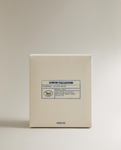 Свеча ароматическая Vetiver Melon 310 г Zara Home, фото 5