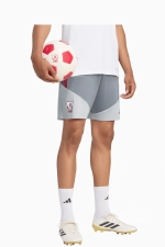 Шорты adidas Liverpool FC 26/27 Training - серый
