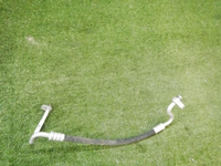 DSCN0300.jpg