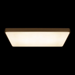 Накладной светильник Loft it Flims 10228/E