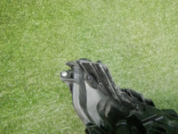 DSCN6529.jpg