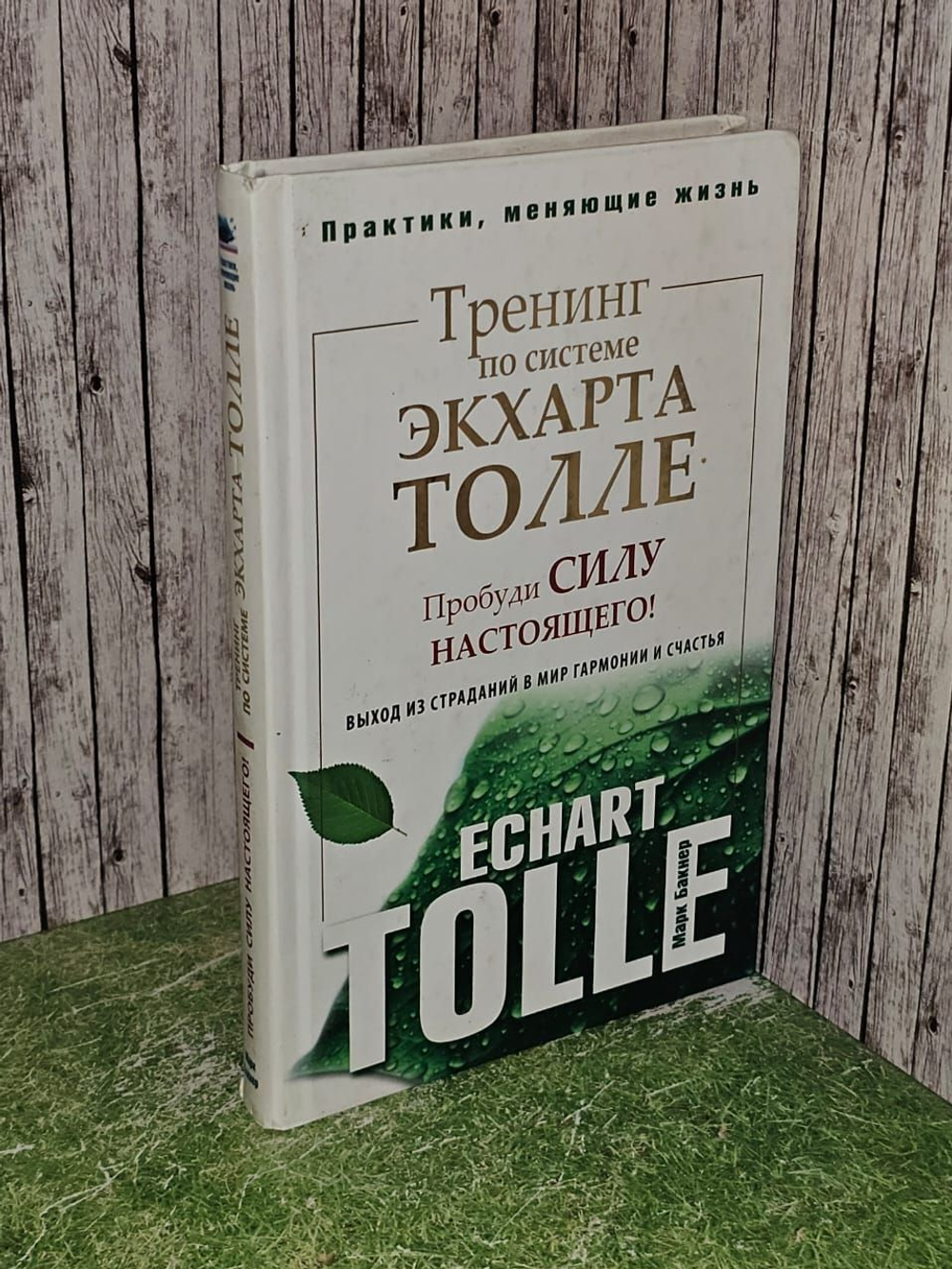 Тренинг по системе Экхарта Толле. Пробуди силу настоящего! Выход из страданий в мир гармонии и счастья. Бакнер Марк