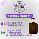 WHISKY Silver edT 100ml man (версия Giorgio Armani Acqua di Giò)