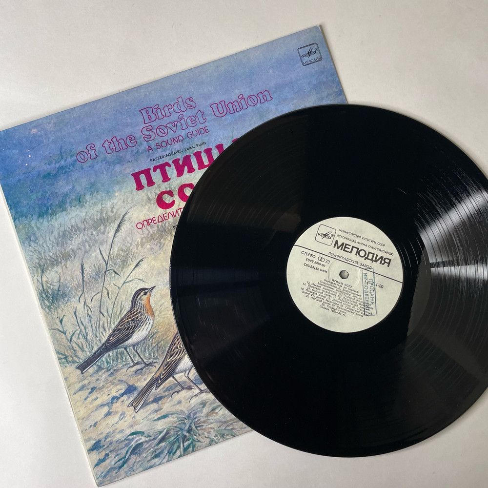 Винтажная виниловая пластинка LP Птицы СССР, Определитель По Голосам Воробьиные: Жаворонки, Коньки (Passeriformes: Lark, Pipits) (СССР 1986)