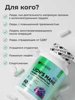 Ежовик гребенчатый мицелий 60 шт.