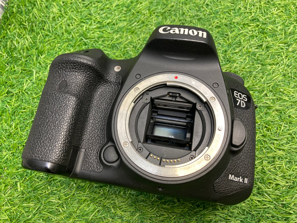 Canon 7D Mark II 250 кадров