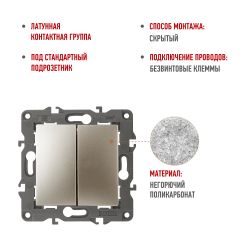 12-1104-04 ЭРА Выключатель двойной, 10АХ-250В, IP20, Эра12, шампань | Эра 12