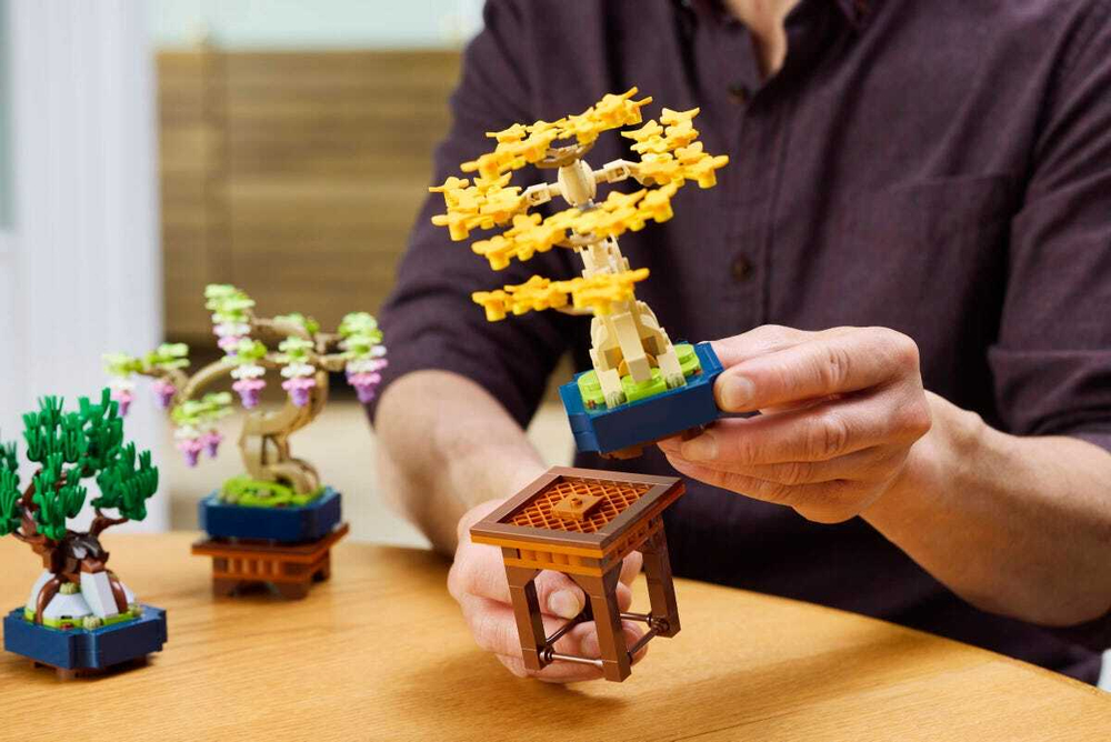 Конструктор LEGO The Botanical Collection 10373 Mini Bonsai Trees