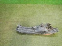 DSCN5179.JPG