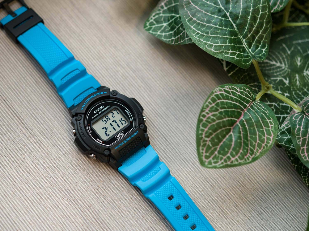 Наручные часы Casio Collection W-219H-2A2