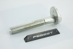 Болт с эксцентриком автомобильный Febest 2529-001