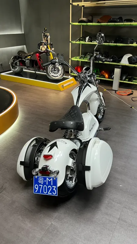 Боковые кофры для моделей M1/ M2/ M8/ M8S/ M1PS (ПОД ЗАКАЗ)