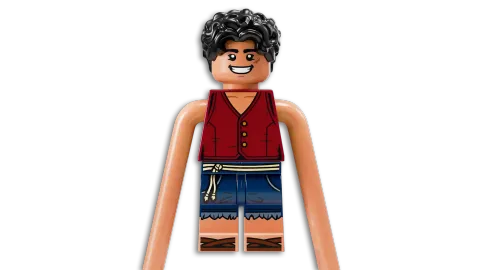 Конструктор LEGO One Piece 75638 Битва в парке Арлонг
