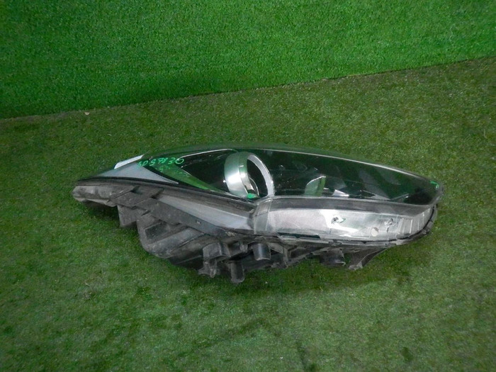 DSCN1855.JPG